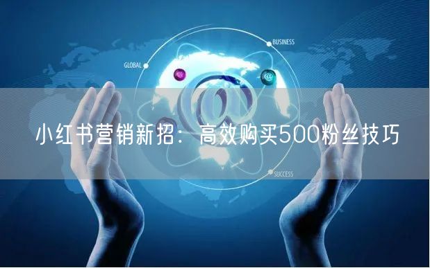 小红书营销新招：高效购买500粉丝技巧