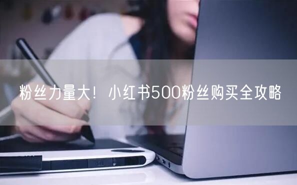 粉丝力量大！小红书500粉丝购买全攻略