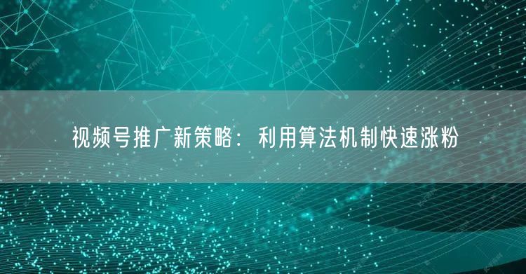 视频号推广新策略：利用算法机制快速涨粉