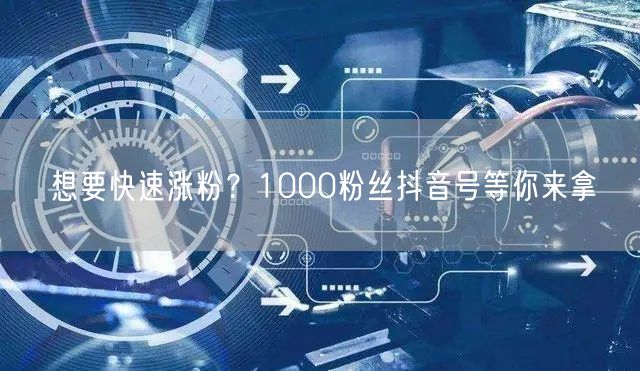 想要快速涨粉？1000粉丝抖音号等你来拿
