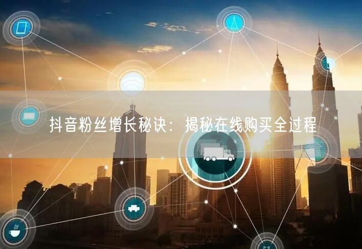 抖音粉丝增长秘诀：揭秘在线购买全过程