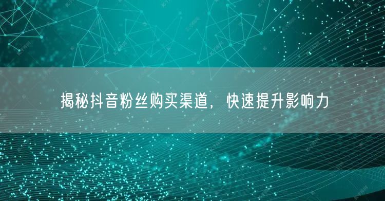 揭秘抖音粉丝购买渠道，快速提升影响力
