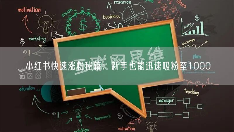 小红书快速涨粉秘籍：新手也能迅速吸粉至1000