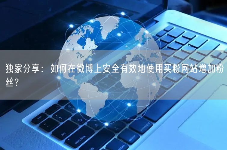 独家分享：如何在微博上安全有效地使用买粉网站增加粉丝？