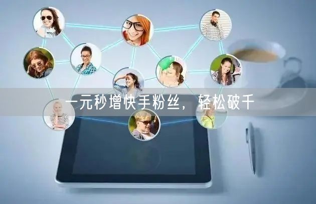 一元秒增快手粉丝，轻松破千