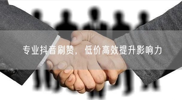 专业抖音刷赞，低价高效提升影响力