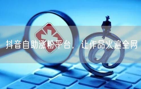 抖音自助涨粉平台，让作品火遍全网
