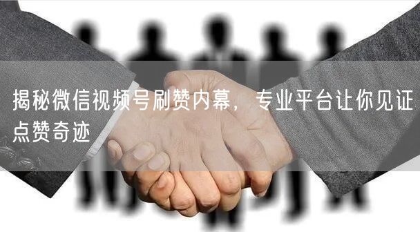 揭秘微信视频号刷赞内幕，专业平台让你见证点赞奇迹