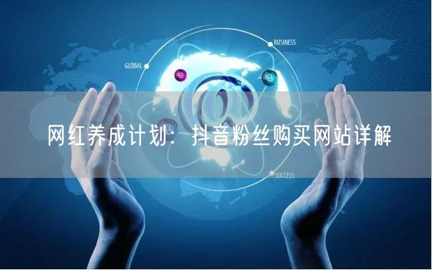 网红养成计划：抖音粉丝购买网站详解