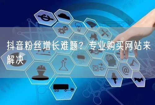 抖音粉丝增长难题？专业购买网站来解决