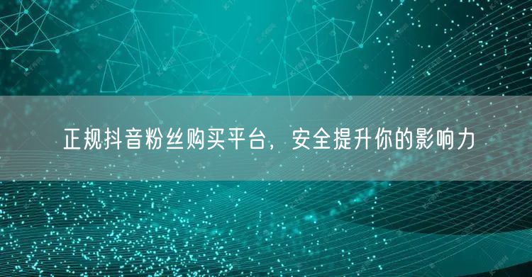 正规抖音粉丝购买平台，安全提升你的影响力
