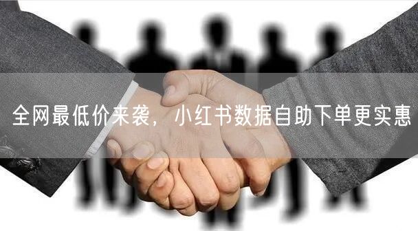 全网最低价来袭，小红书数据自助下单更实惠