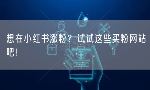 想在小红书涨粉？试试这些买粉网站吧！